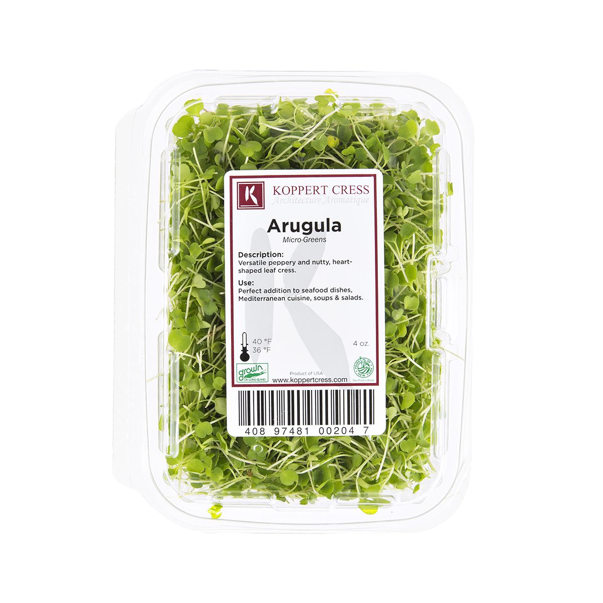 Wholesale Koppert Cress Micro Arugula- Bulk