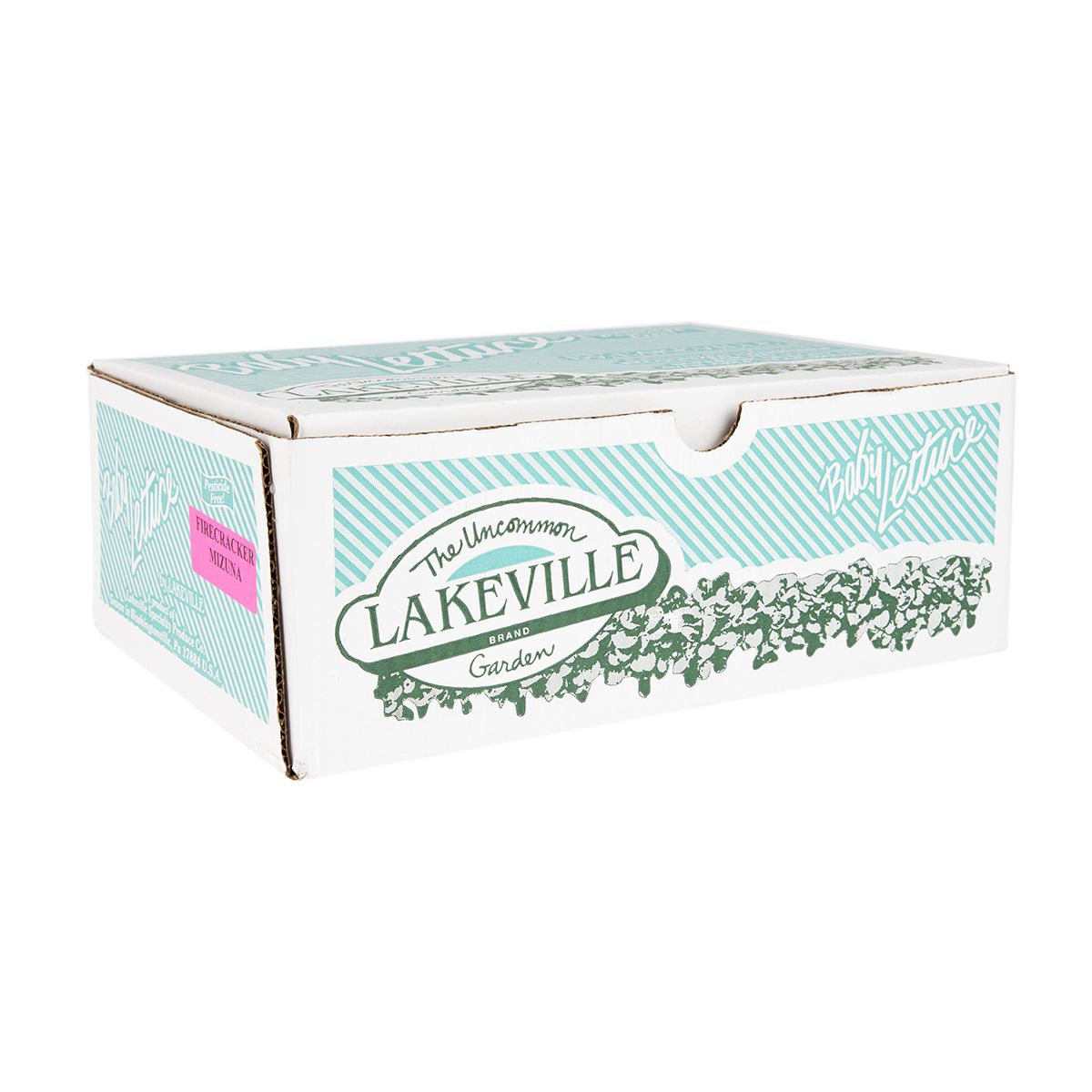 Wholesale Lakeville Baby Firecracker Mizuna- Bulk