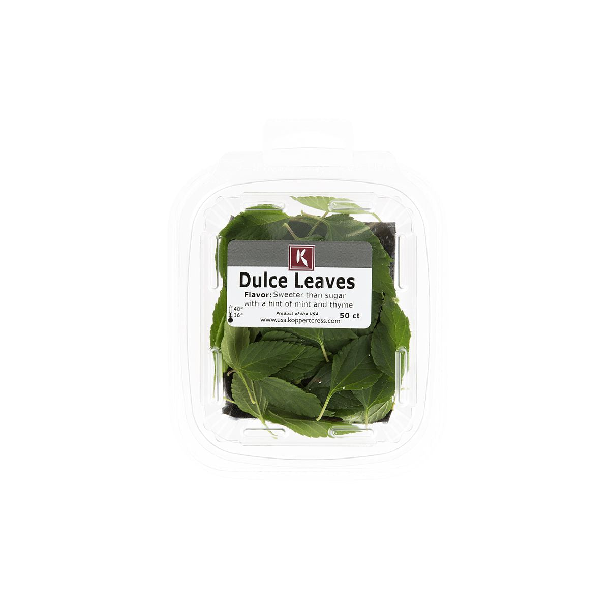 Wholesale Koppert Cress Dulce Leaves- Bulk