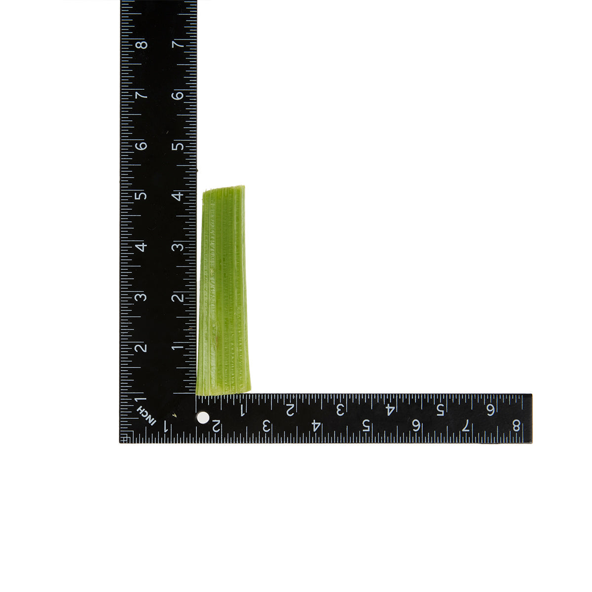 Wholesale BoxNCase 4 Celery Sticks 5 LB- Bulk