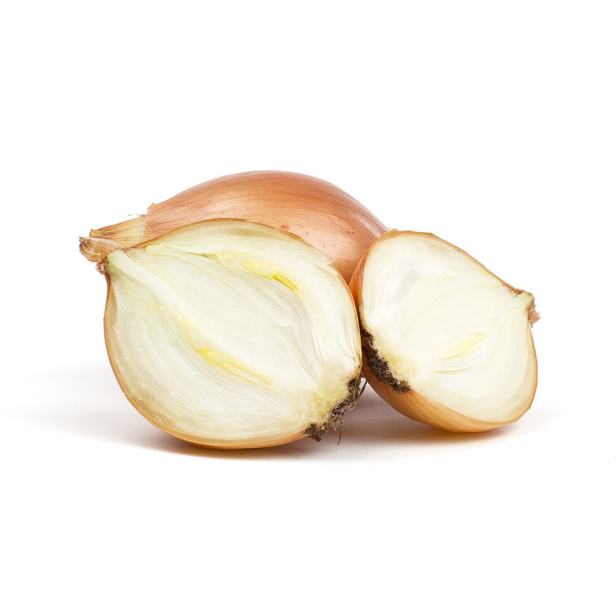 Wholesale BoxNCase Spanish Onions 10 Lb- Bulk