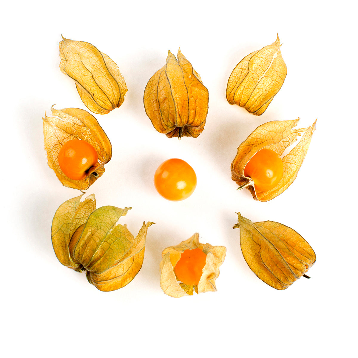 Wholesale Norwich Meadows Farm Organic Husk Cherries 1 PT- Bulk