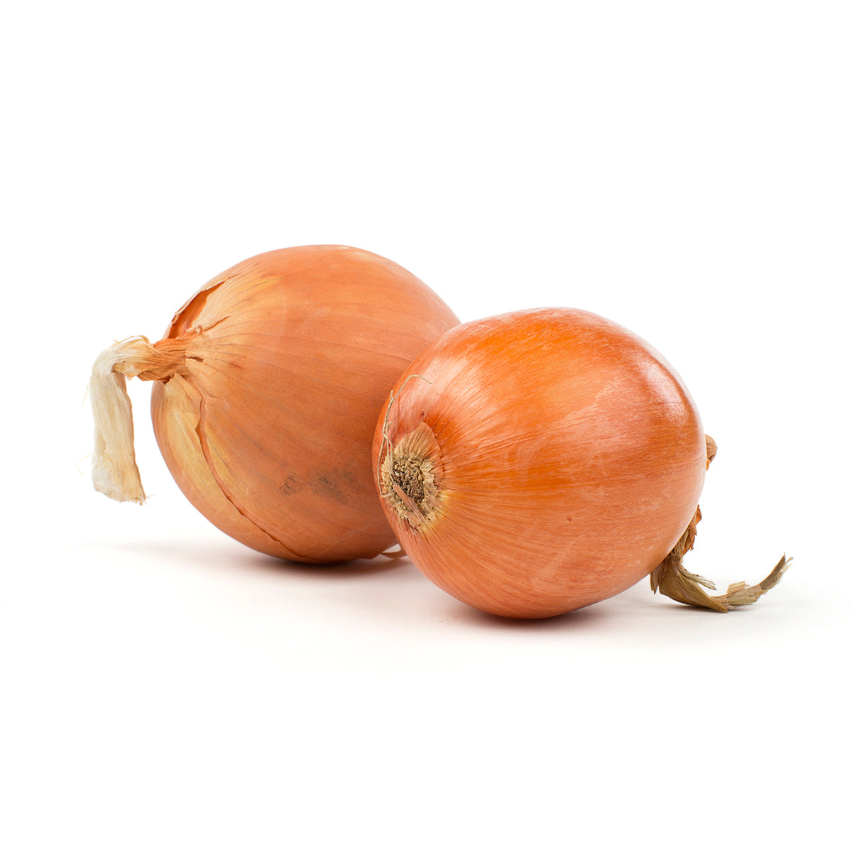 Wholesale BoxNCase Retail Onions 2 LB-20ct Case Bulk