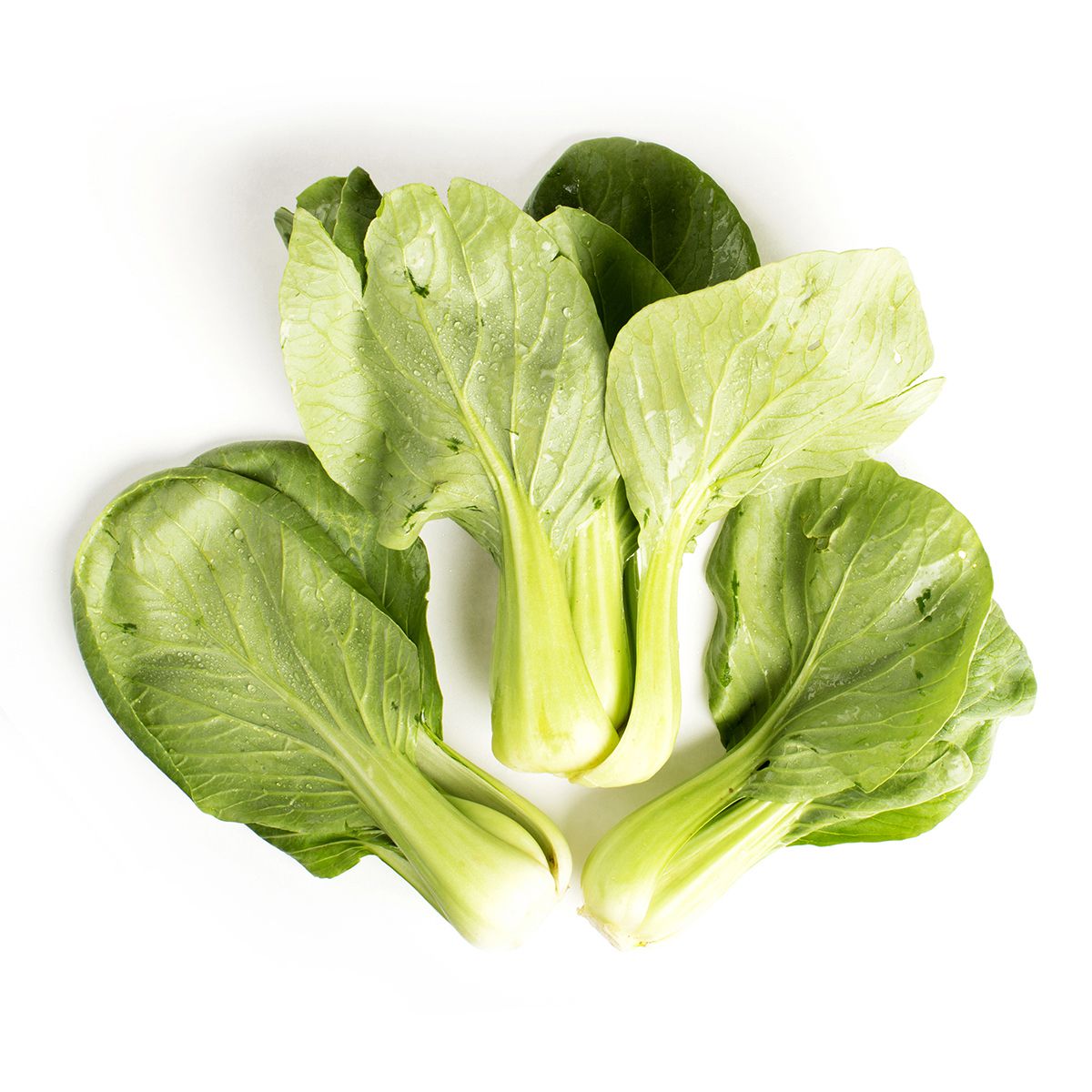 Wholesale Lancaster Farm Fresh Organic Baby Bok Choy- Bulk