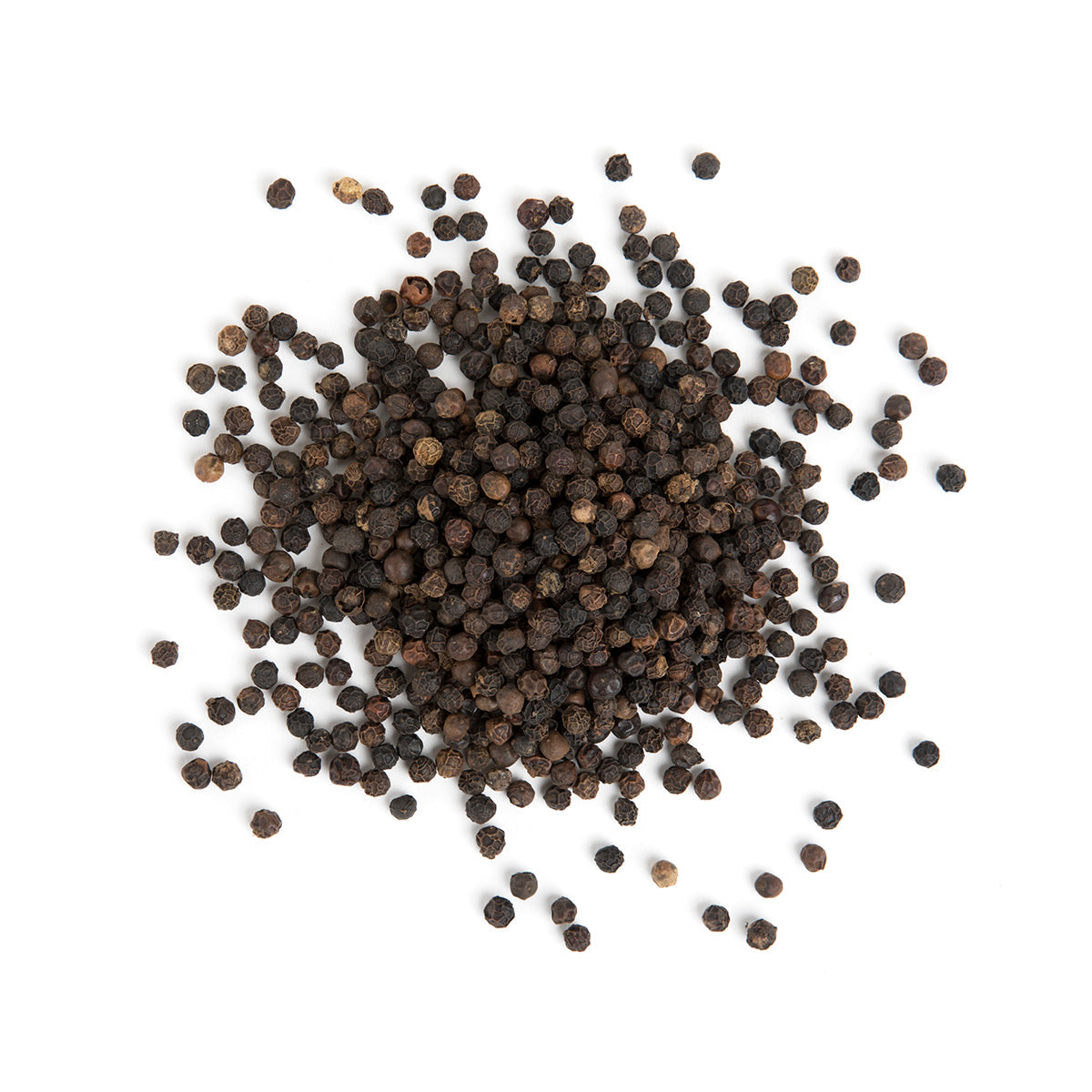Wholesale La Boite Tellicherry Black Pepper Spice- Bulk