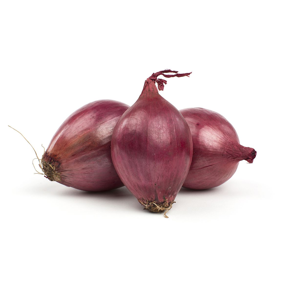 Wholesale BoxNCase Medium Red Onions- Bulk