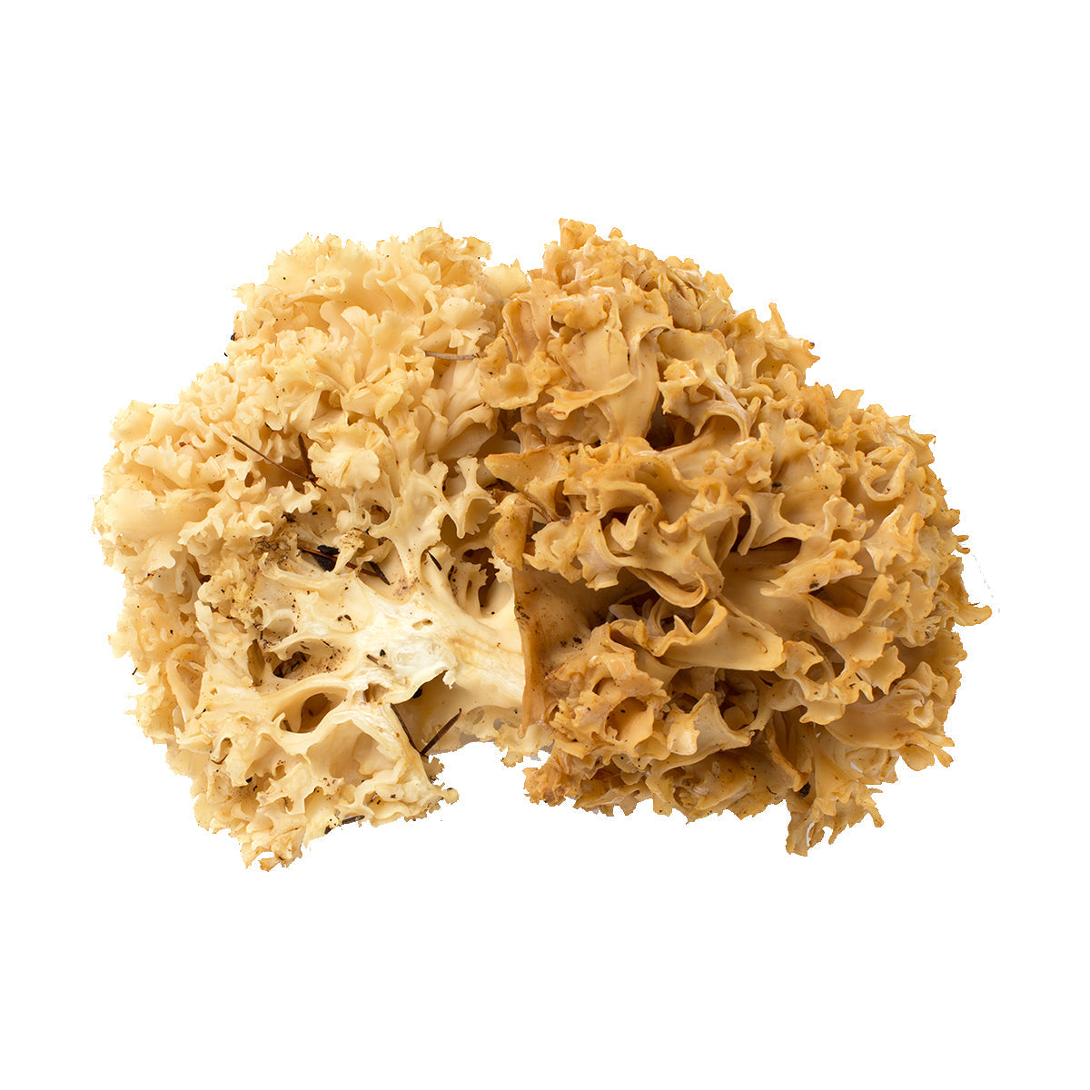 BoxNCase Cauliflower Mushrooms