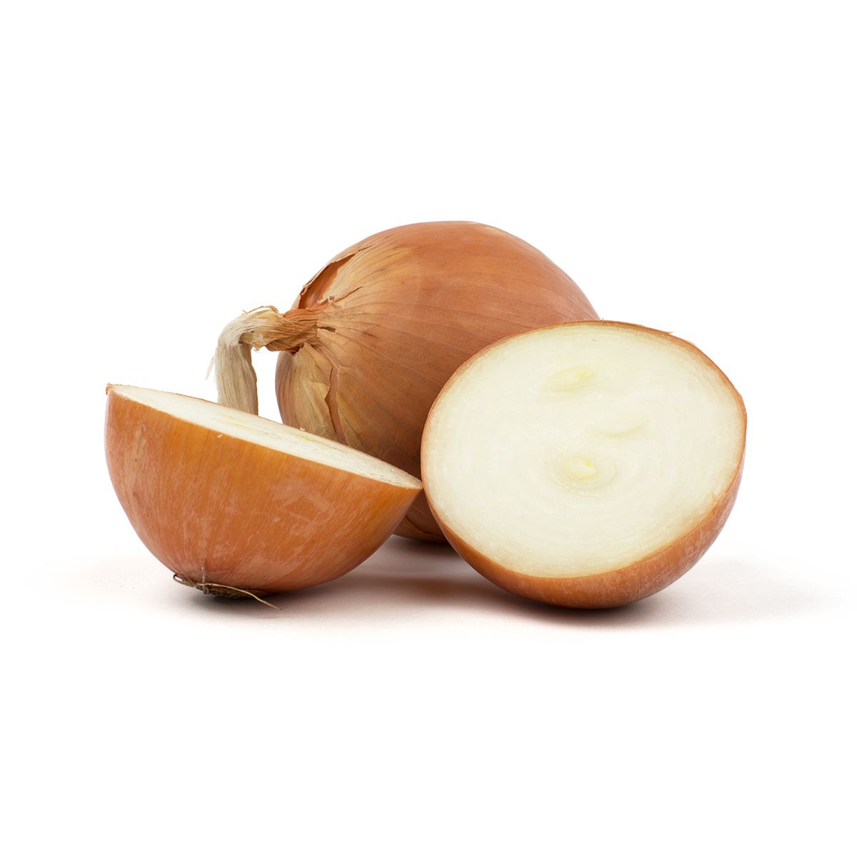 Wholesale BoxNCase Spanish Onions- Bulk