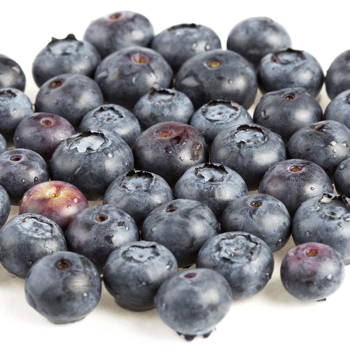 BoxNCase Blueberries 1 PT