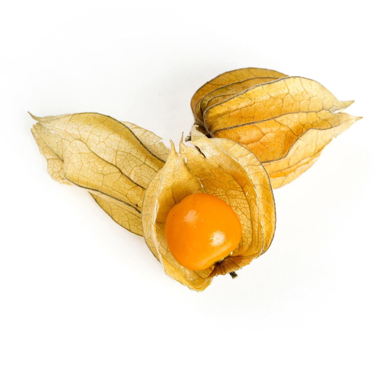 Wholesale BoxNCase Cape Gooseberries 3.5 oz- Bulk