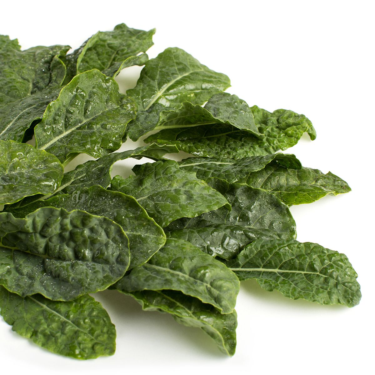 Wholesale BoxNCase Baby Lacinato Kale- Bulk