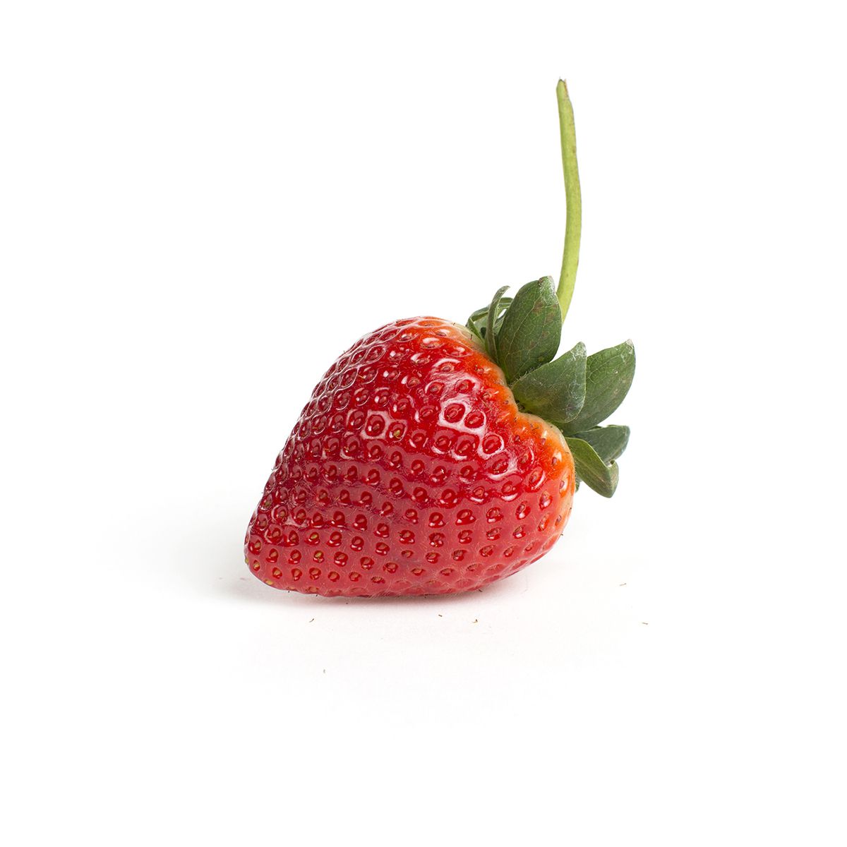 Wholesale BoxNCase Stemberries 1 LB- Bulk