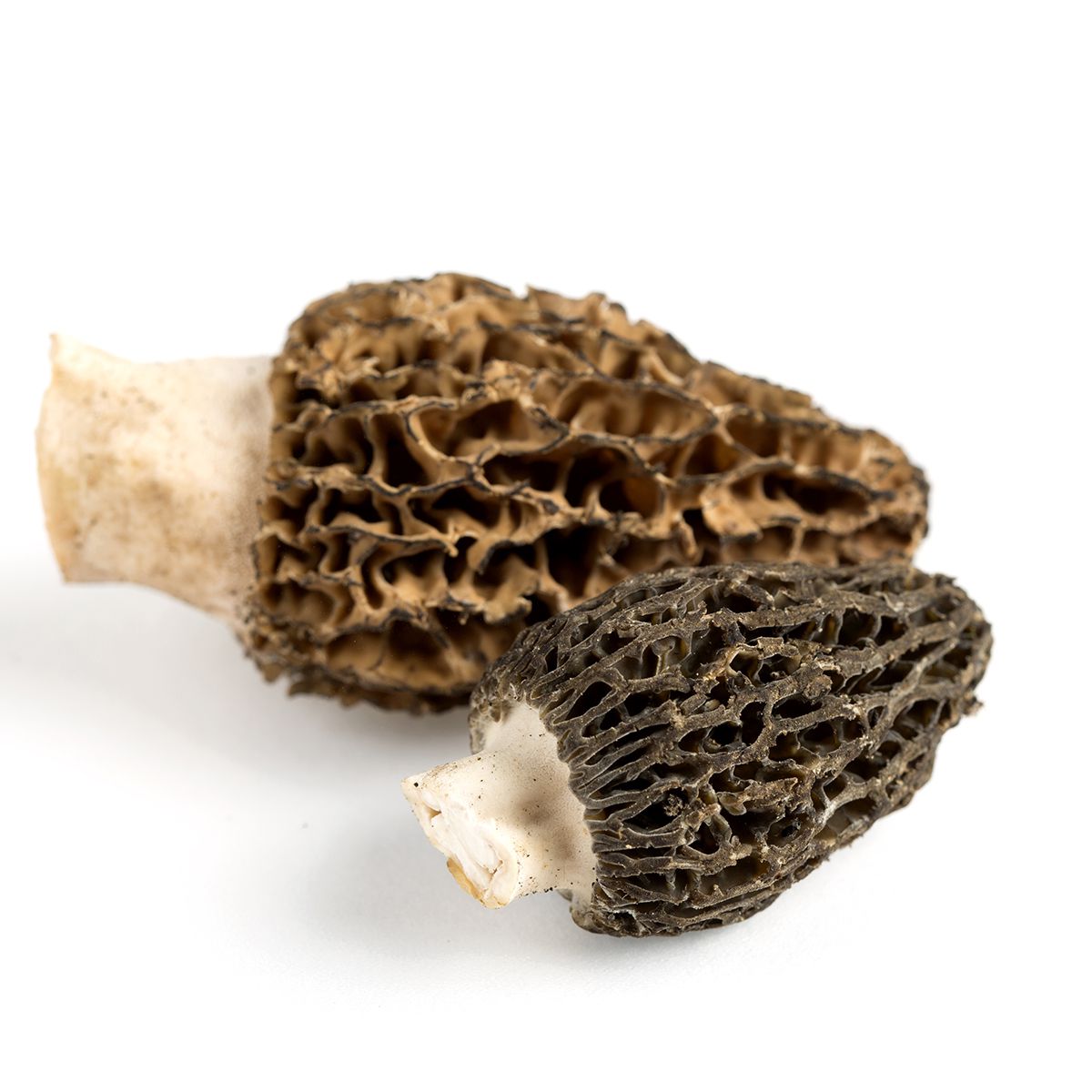 BoxNCase California Morel Mushrooms 3 lb
