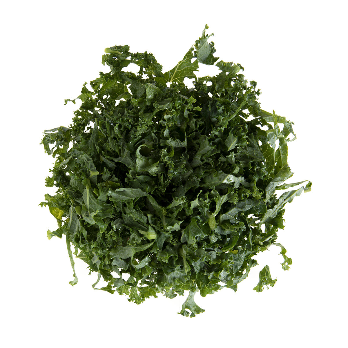 Wholesale BoxNCase Shredded Green Kale-2 LB Bulk
