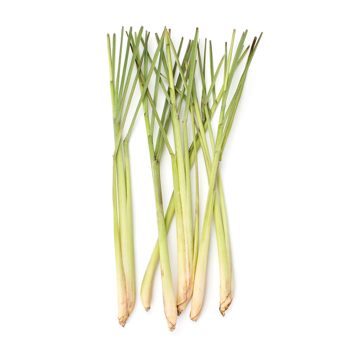 Wholesale BoxNCase Organic Lemongrass- Bulk