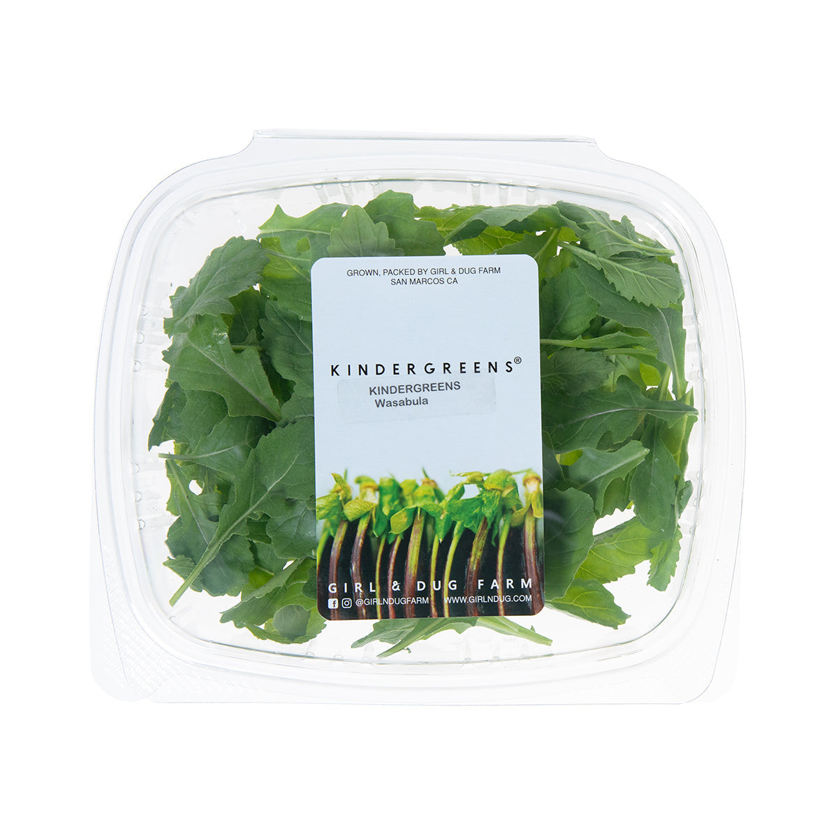 Wholesale Girl & Dug Farm KinderGreens® Wasabula- Bulk