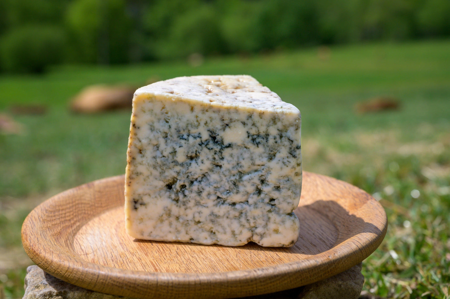 Wholesale Spanish Blue Cheese Importers Cabrales 6 Pound- Bulk
