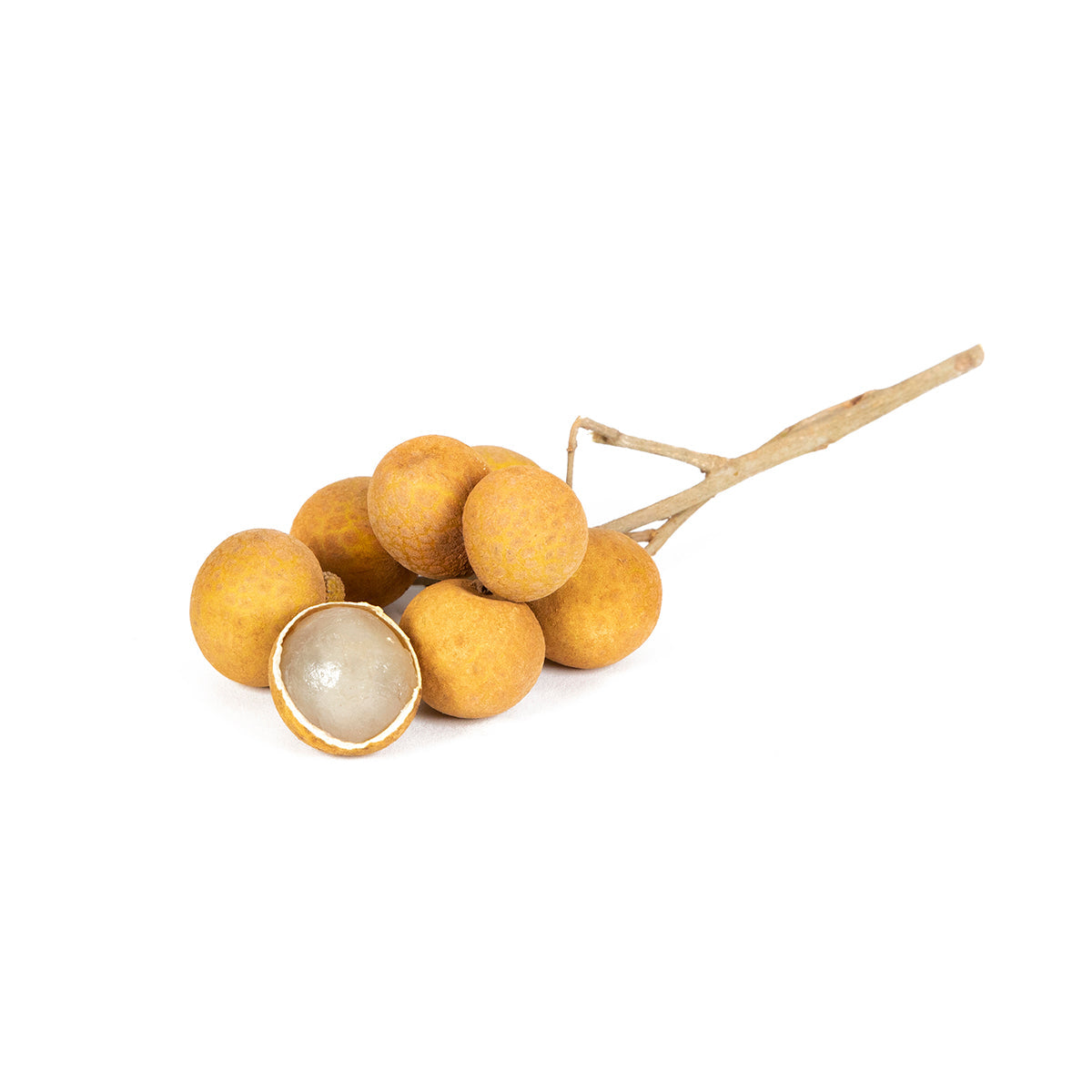 Wholesale BoxNCase Longan Fruit- Bulk
