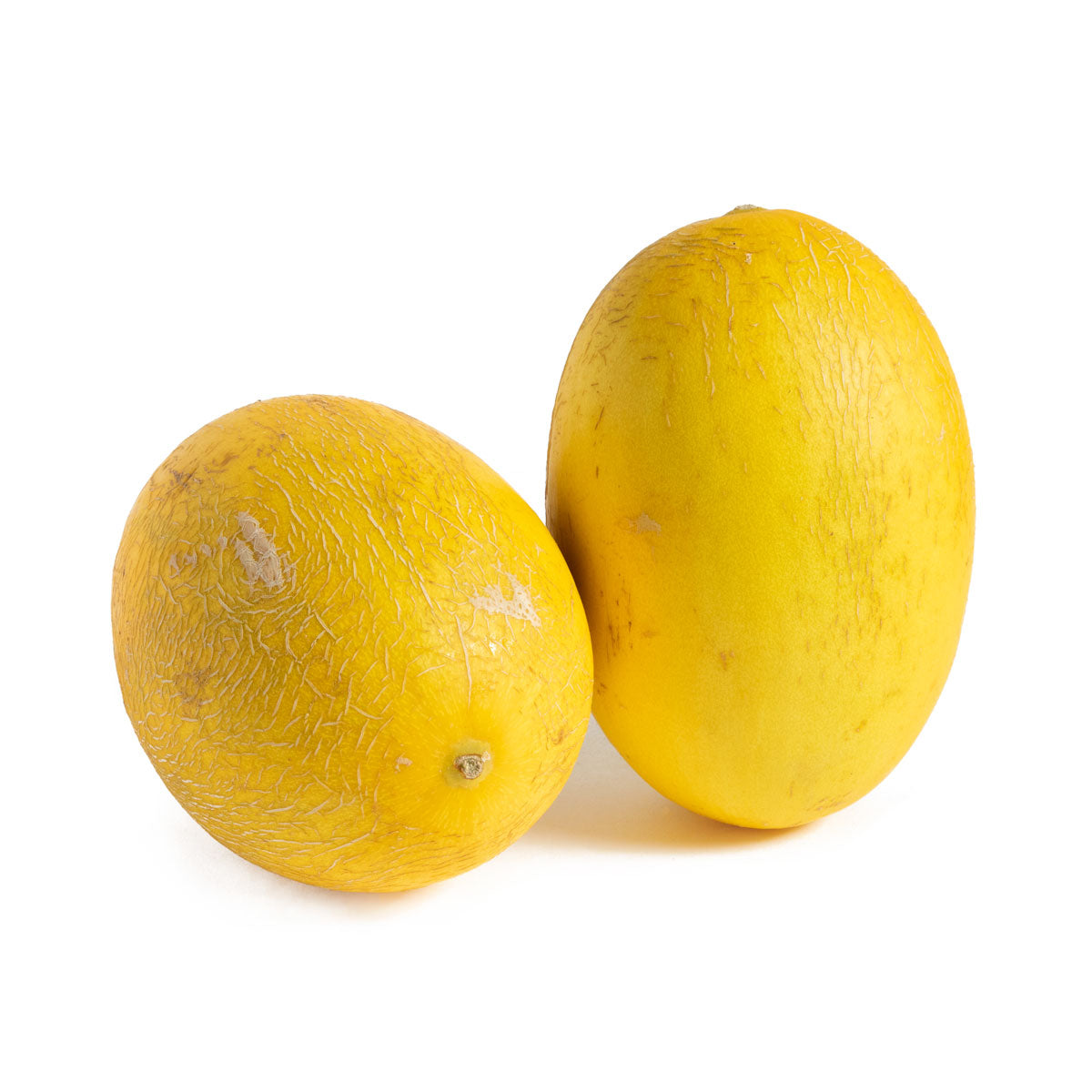 Wholesale BoxNCase Hami Melons- Bulk