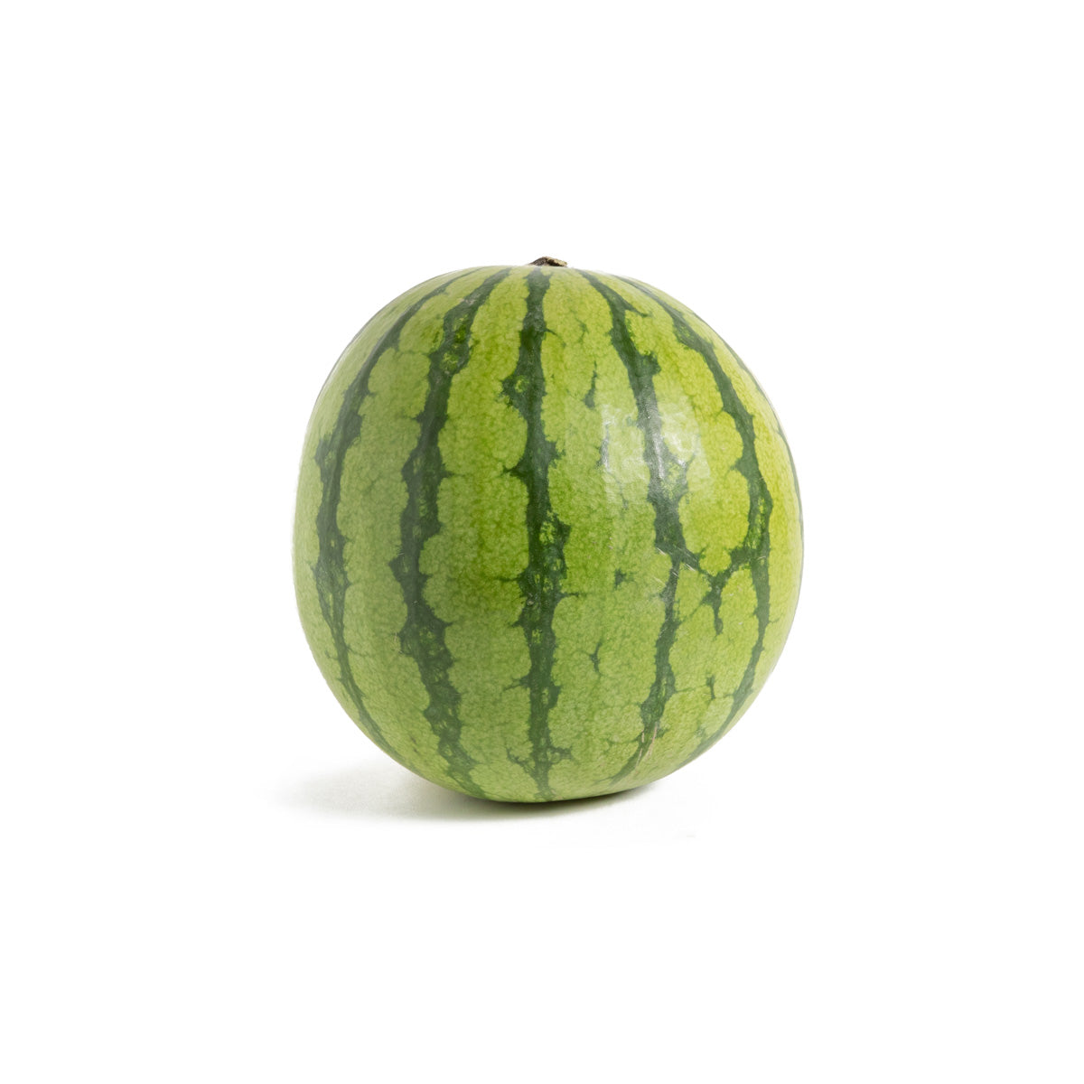 Wholesale BoxNCase Mini Seedless Watermelons- Bulk
