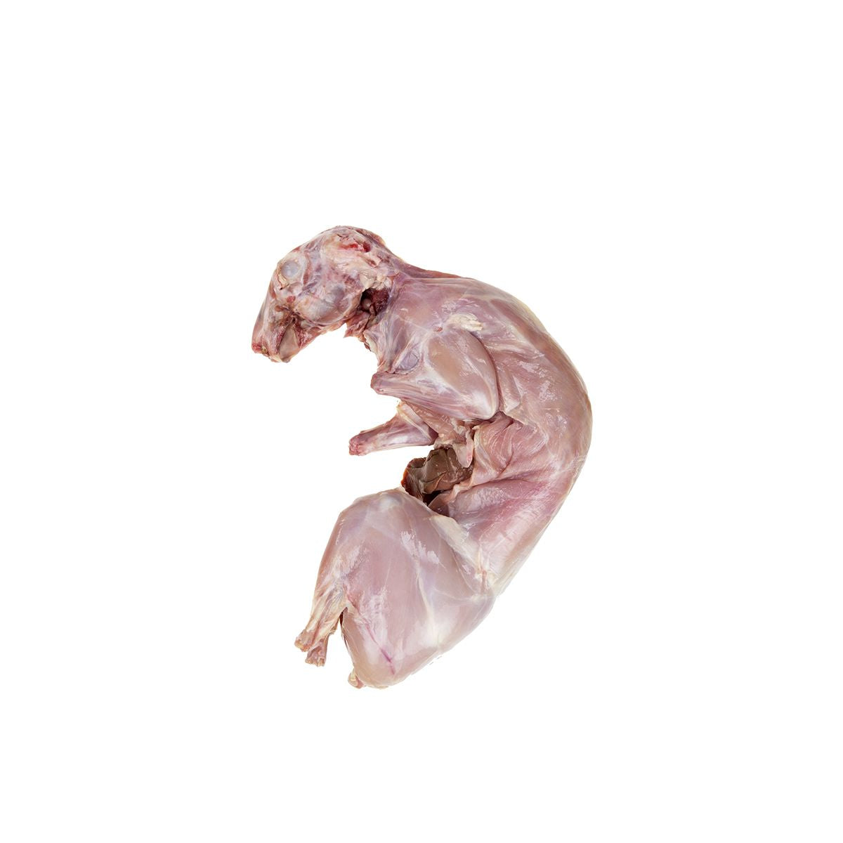 Wholesale John Fazio Farms Frozen Whole Fryer Rabbit- Bulk