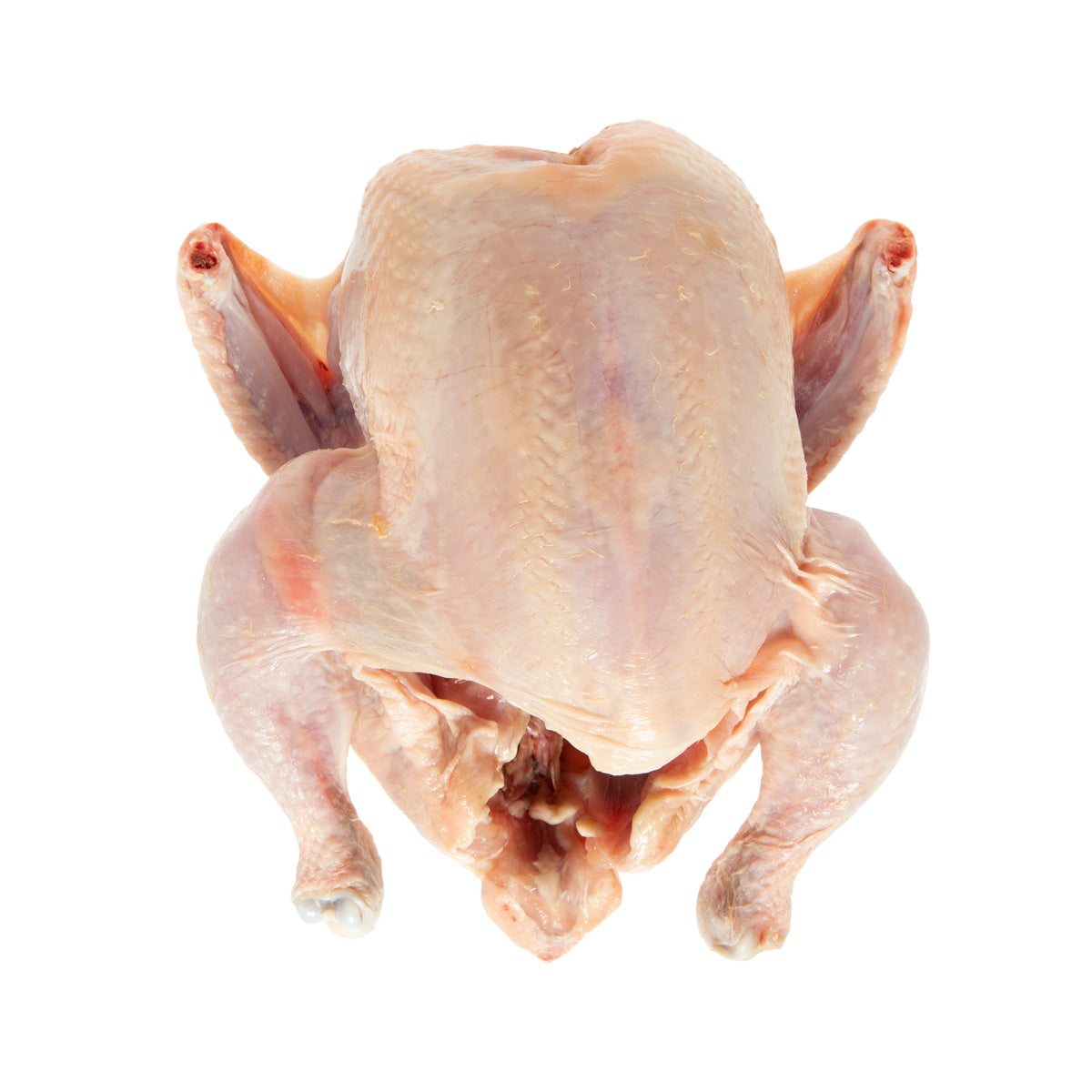 Wholesale La Belle Farm Organic Air Chilled Whole Chickens Bulk Pack- Bulk