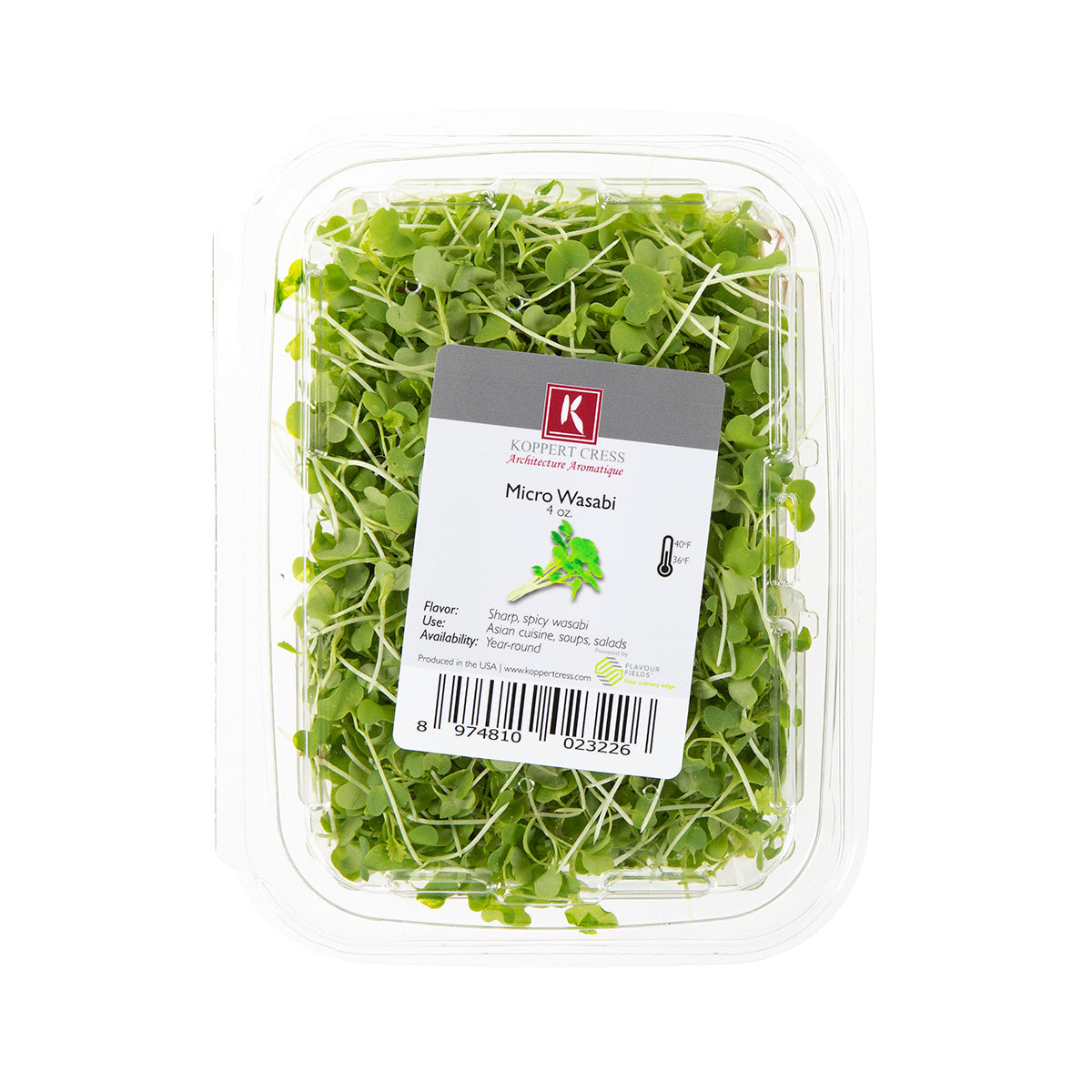 Wholesale Koppert Cress Micro Wasabi- Bulk