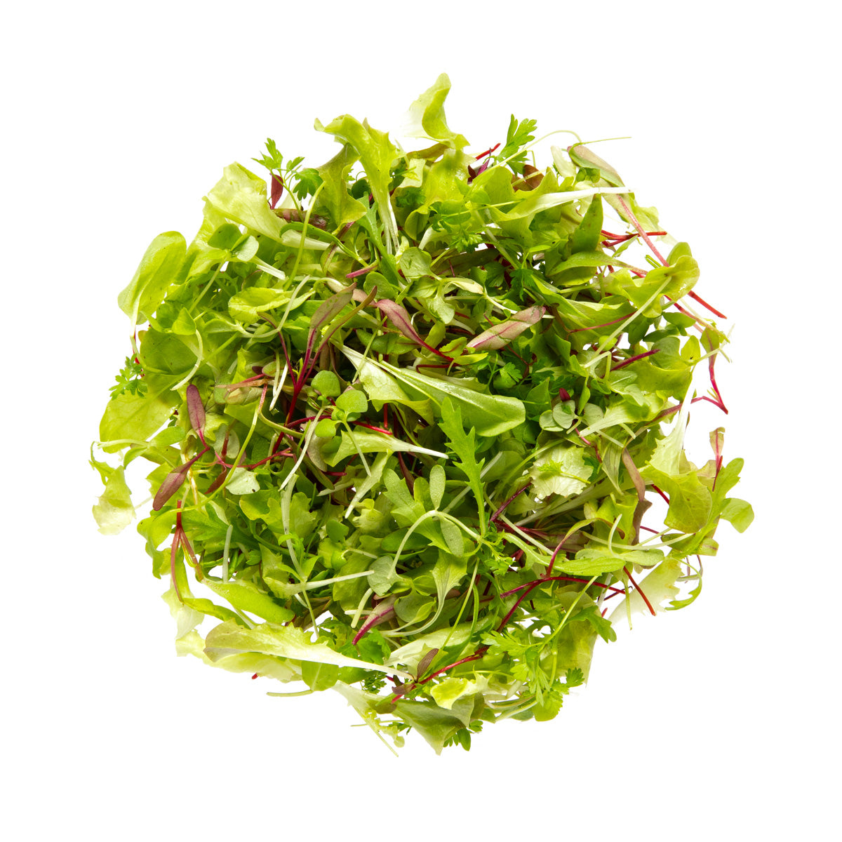 Wholesale Gilbertie'S Organic Micro Citrus Blend- Bulk