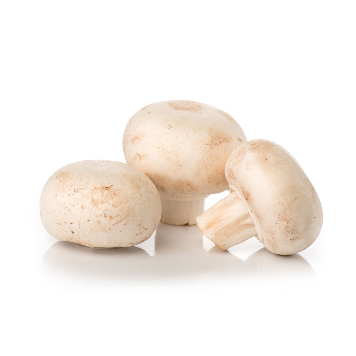 BoxNCase Whole White Mushrooms 8 OZ