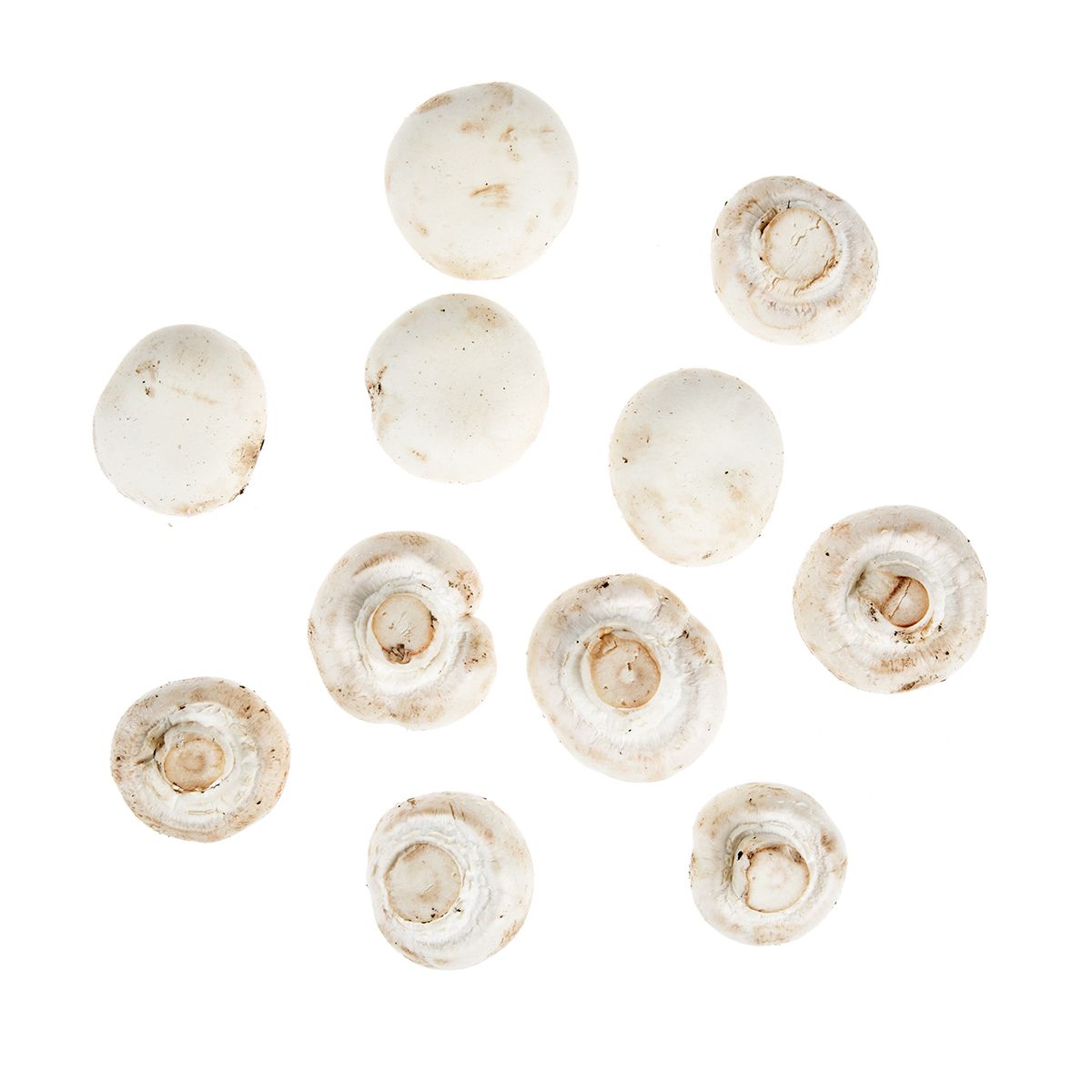 BoxNCase #1 Grade White Button Mushrooms