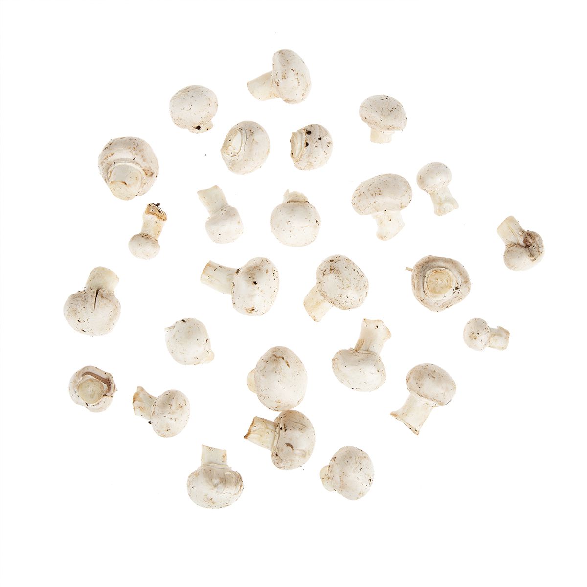 BoxNCase #1 Grade Baby White Button Mushrooms
