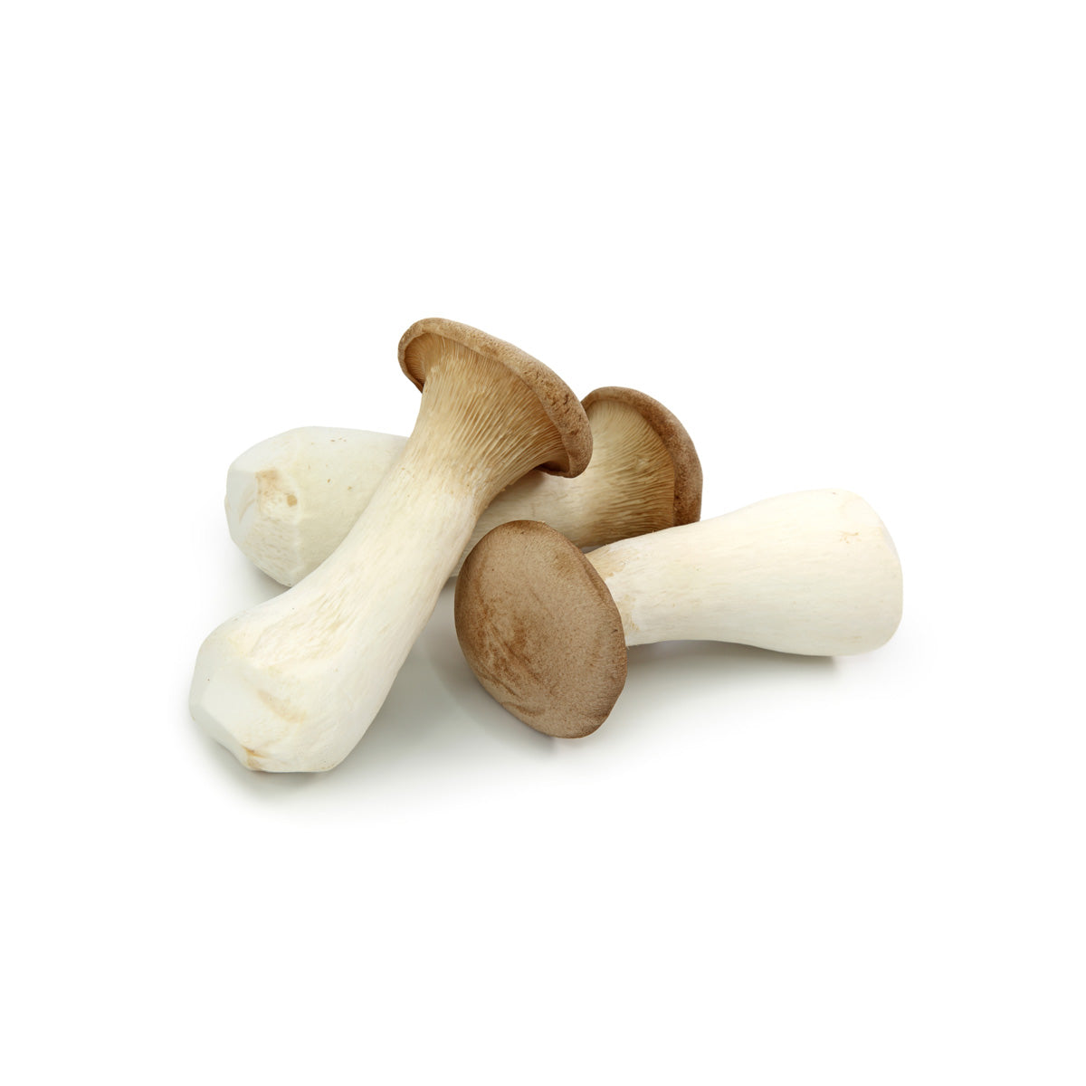 Wholesale BoxNCase King Trumpet Mushrooms 9.5 oz Bag- Bulk