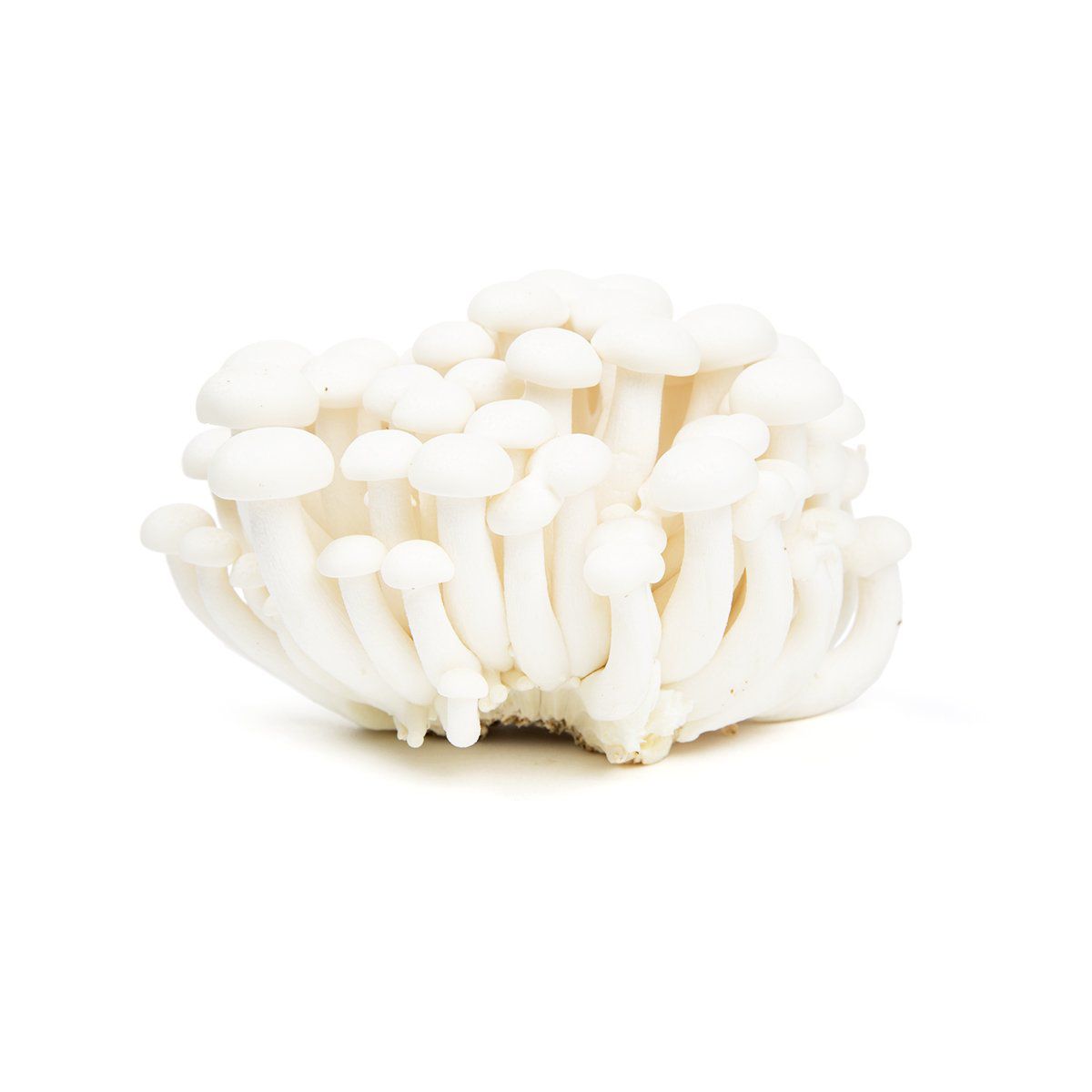BoxNCase White Hon Shimeji Mushrooms 5 OZ