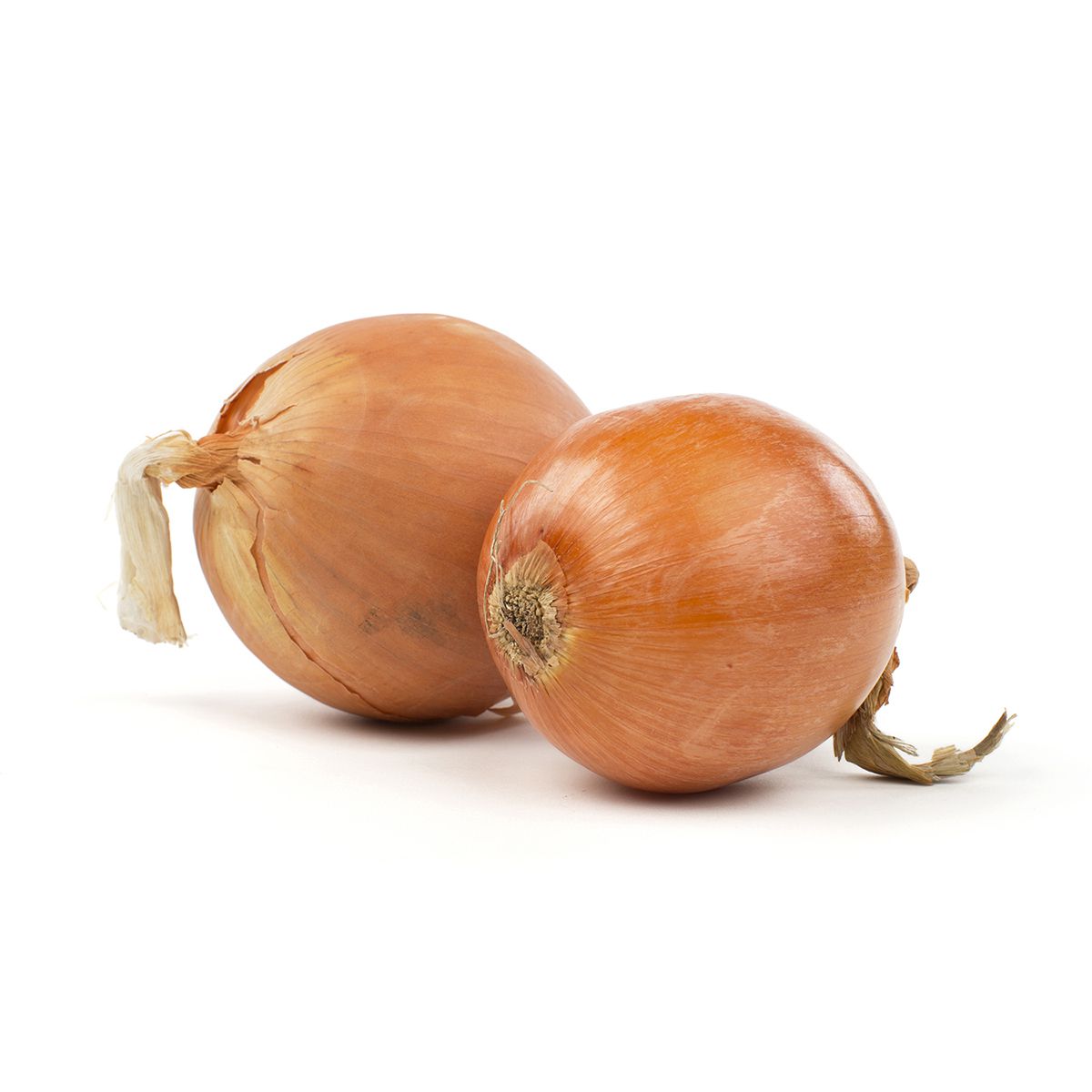BoxNCase Medium Yellow Onions