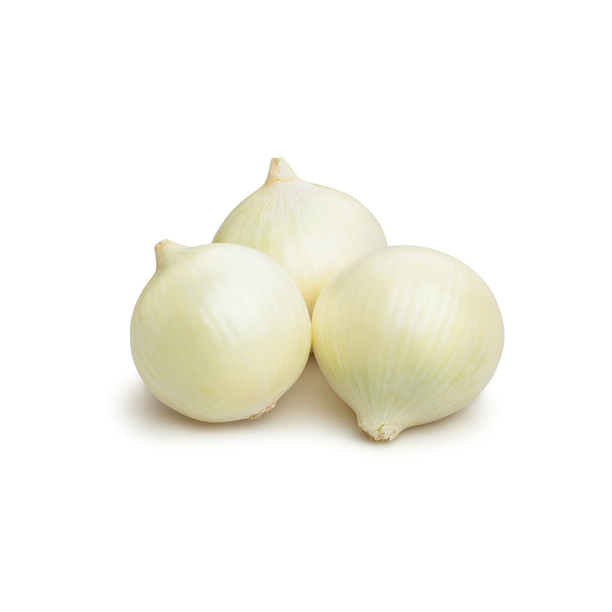 BoxNCase White Pearl Onions