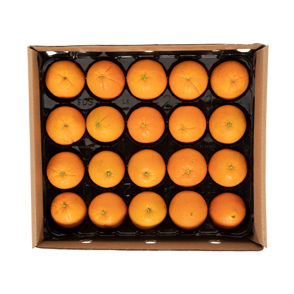 BoxNCase Orange Panta-Pack
