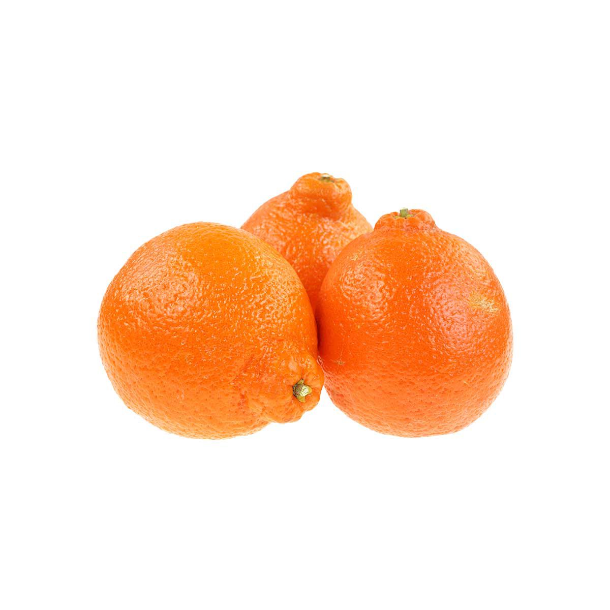 Wholesale BoxNCase Minneola Tangelos- Bulk