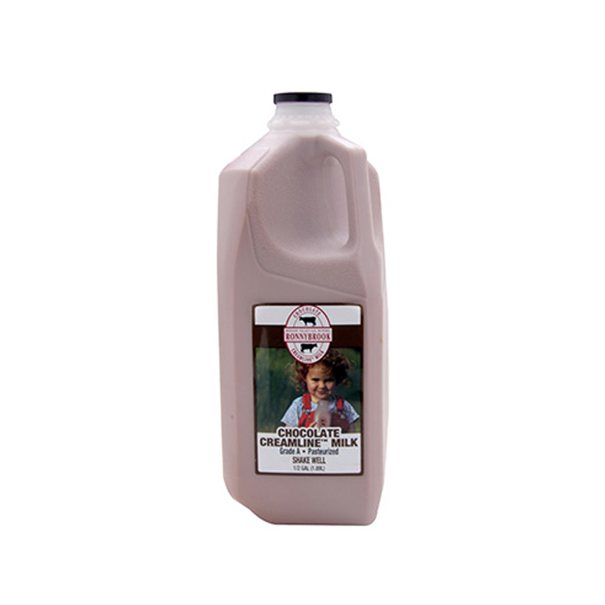 Wholesale Ronnybrook Dairy Creamline Chocolate Milk- Bulk