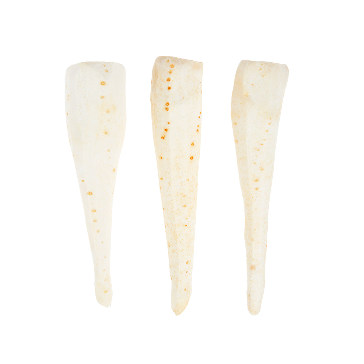 Wholesale BoxNCase Peeled Whole Parsnips- Bulk