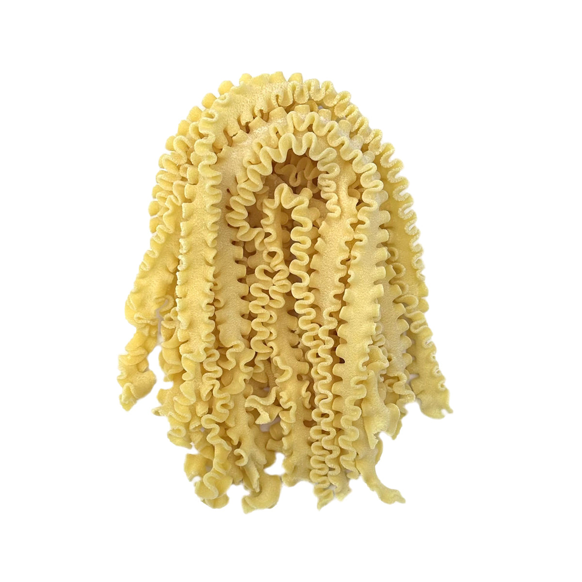 Wholesale La Trafila Fresh Mafalde Pasta- Bulk