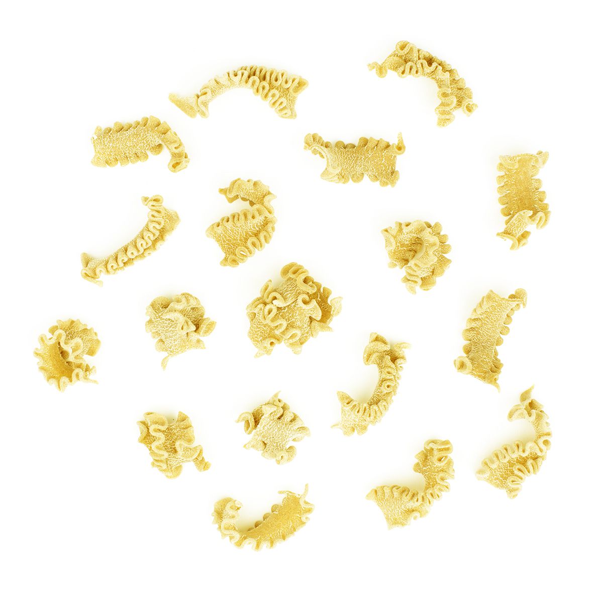 Sfoglini Pasta Organic Semolina Reginetti Pasta 2.5 LB Bag