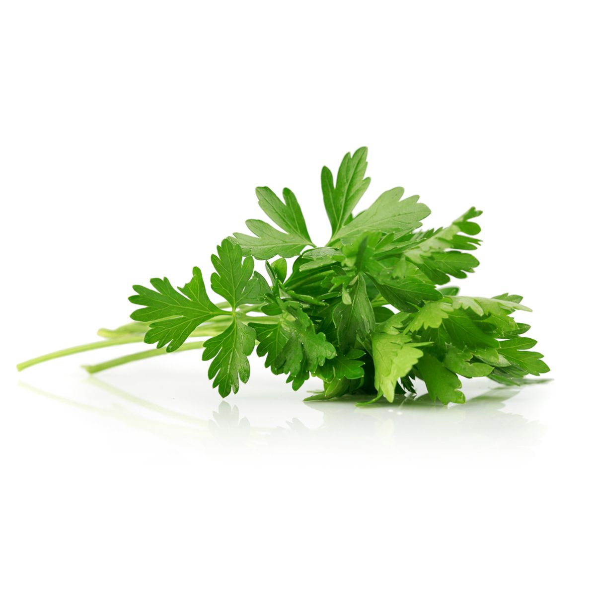 Wholesale BoxNCase Parsley- Bulk