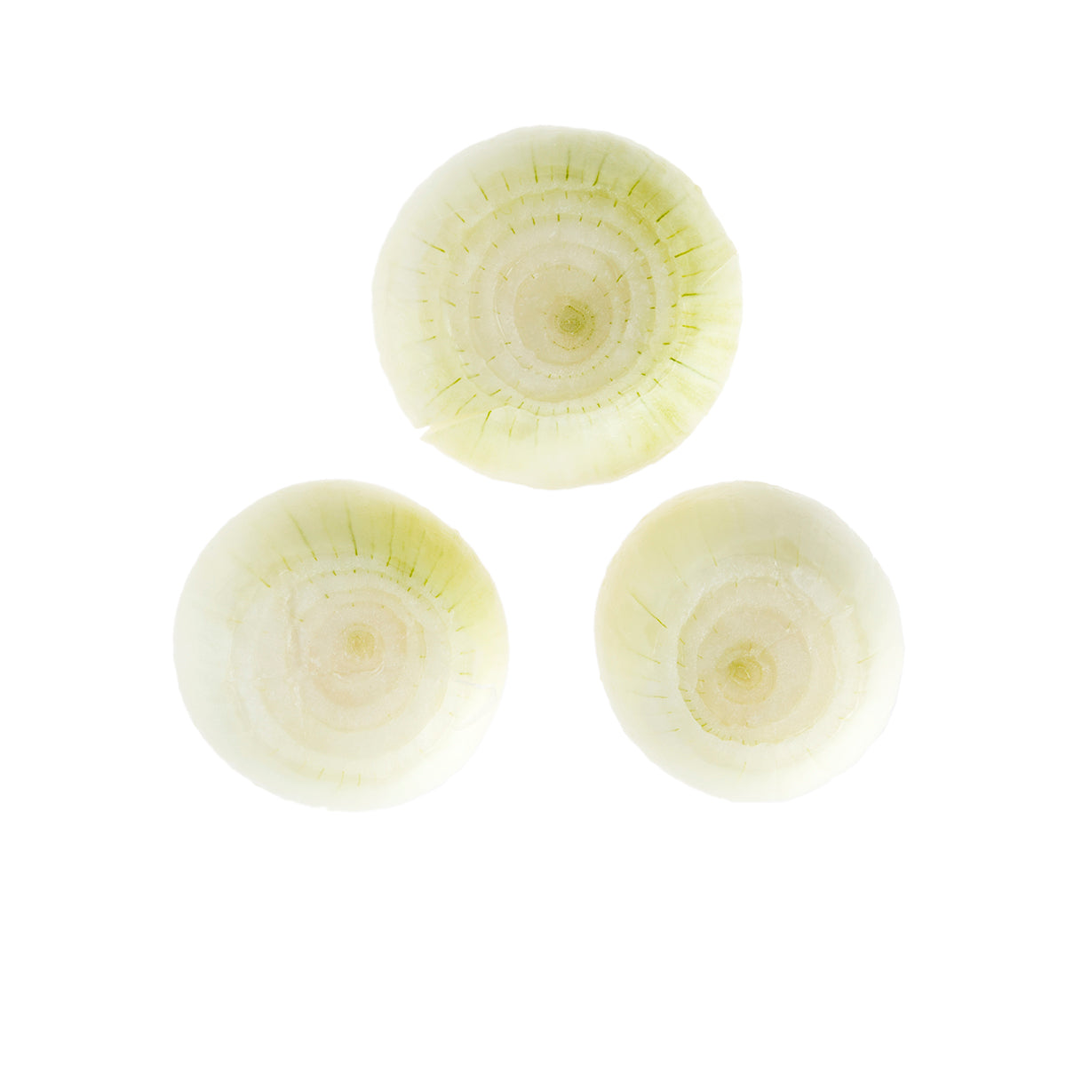 BoxNCase Peeled Spanish Onions 10 LB