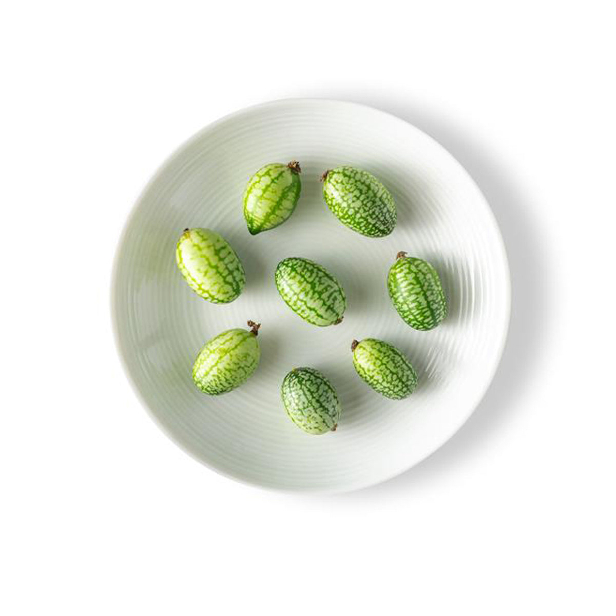 Wholesale Fresh Origins Tiny Veggies Cucumbers- Bulk