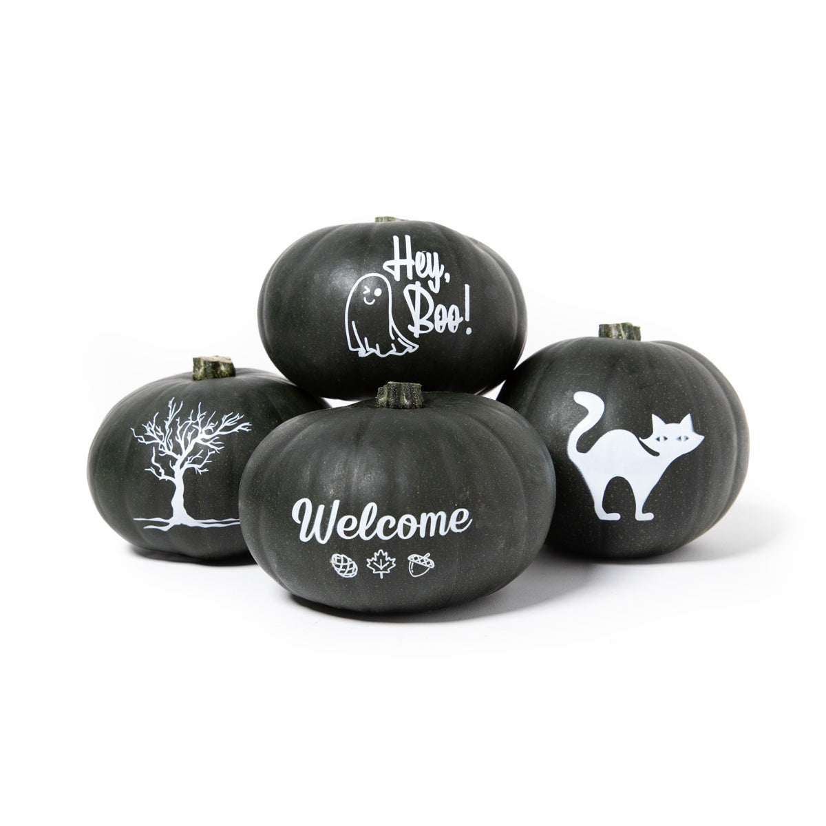 Wholesale BoxNCase Eclipse Silhouette Pumpkins- Bulk