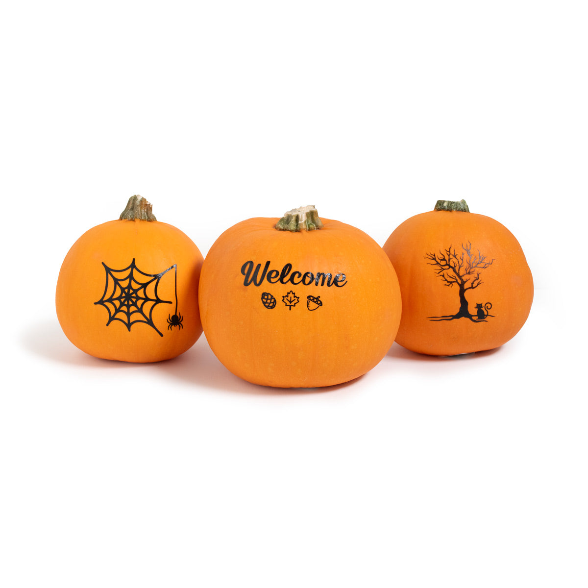 Wholesale BoxNCase Silhouette Pumpkins-8 CT Bulk