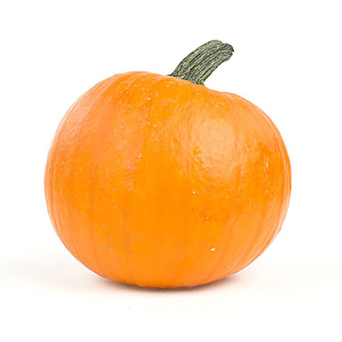 Wholesale BoxNCase Large Pumpkin 18-24 LB-3 Pack Bulk