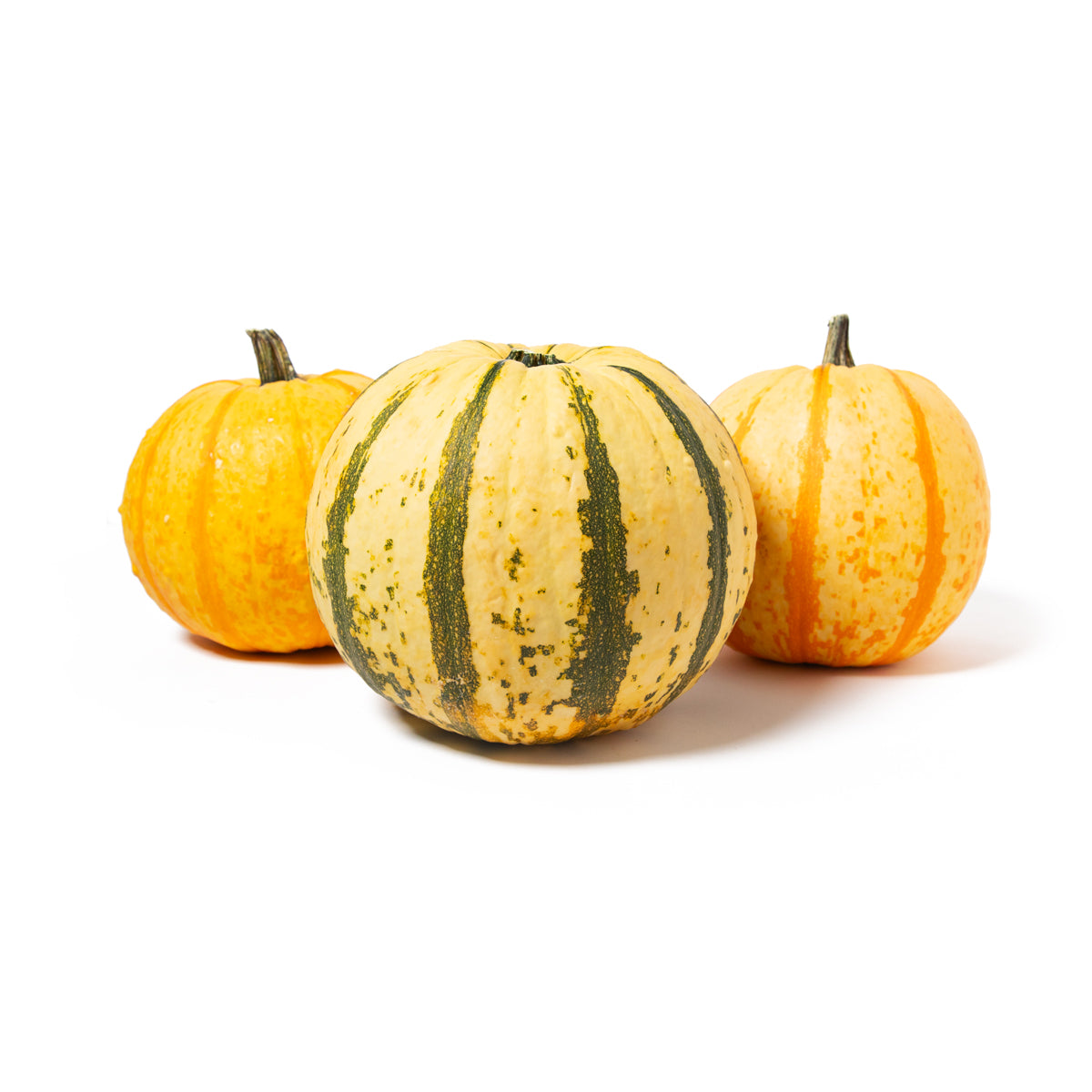 Wholesale BoxNCase Candy Corn Pumpkins- Bulk
