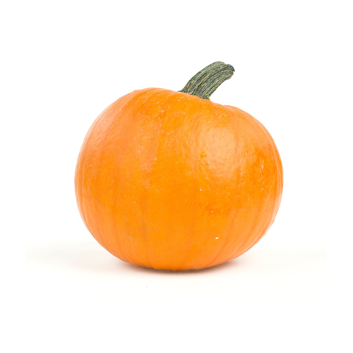 BoxNCase Medium Pumpkins 10-16 LB