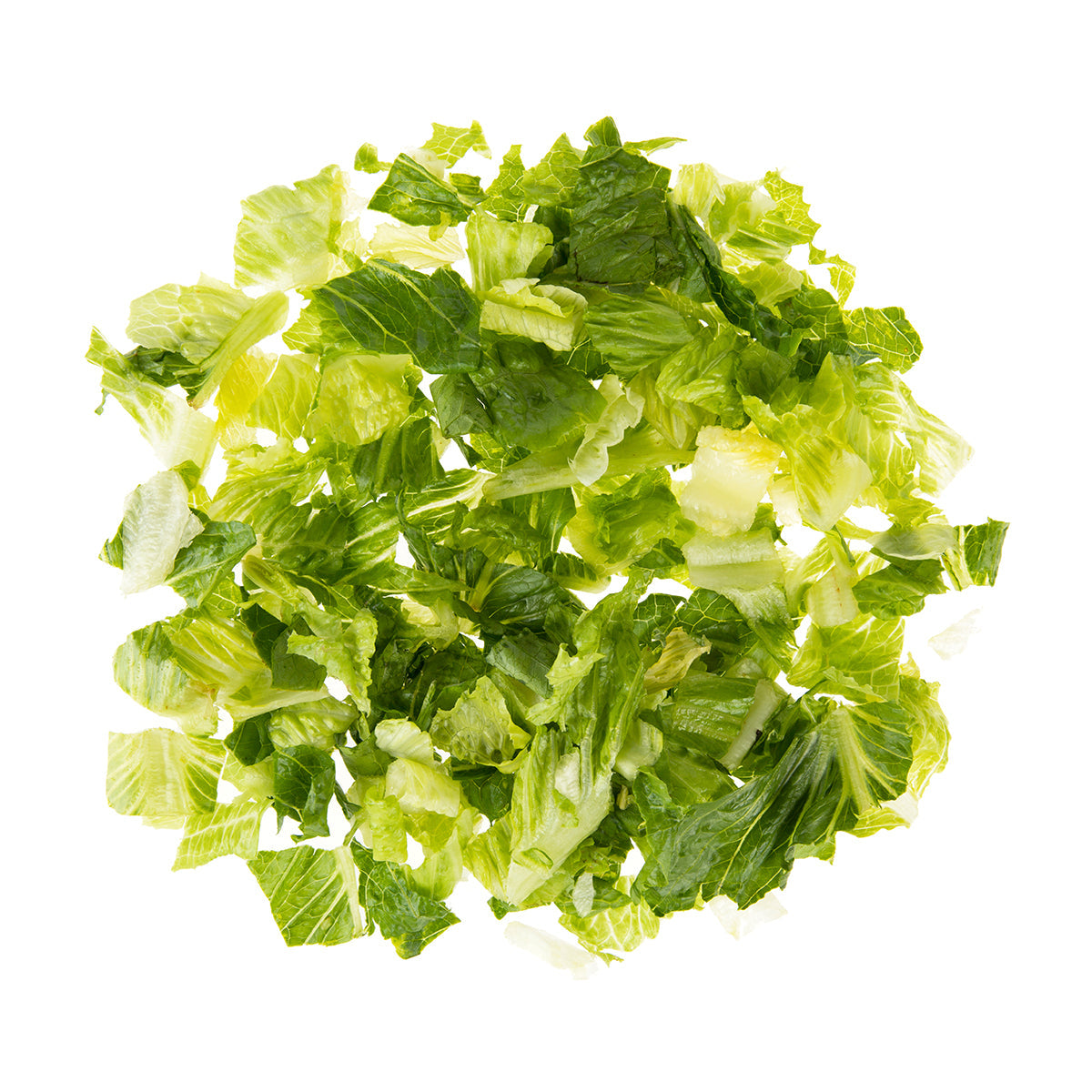 Wholesale BoxNCase Chopped Romaine Lettuce 2 LB- Bulk